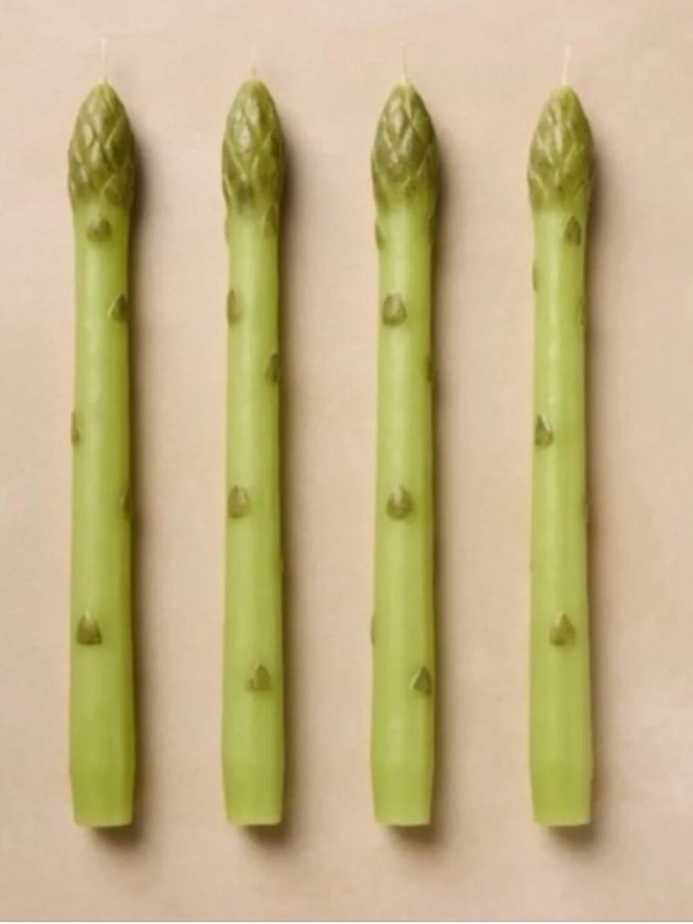 (8) Asparagus Taper Candles by John Derian for Target